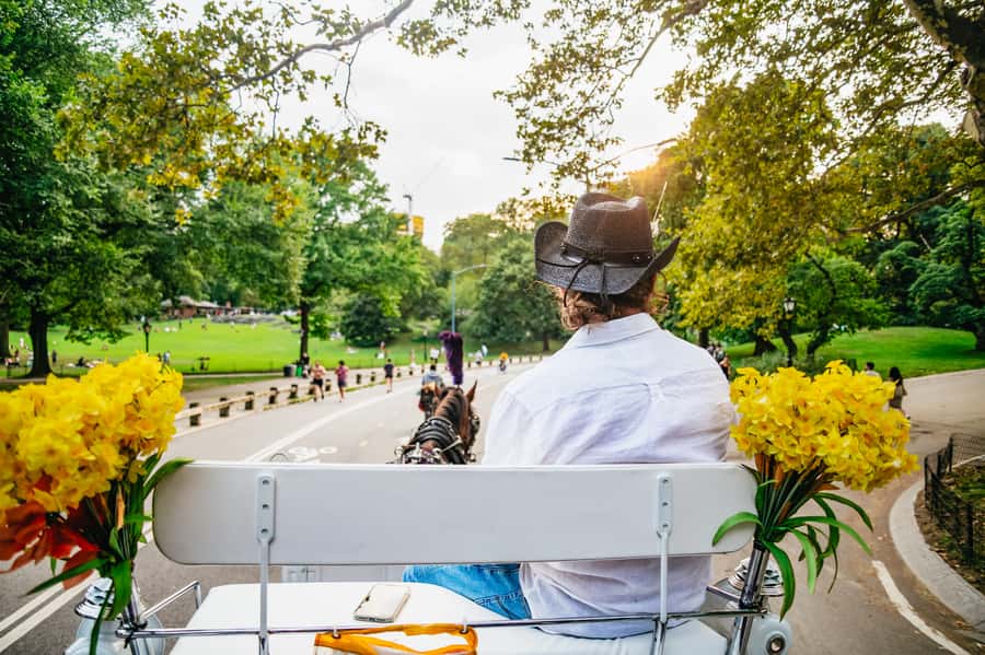 NYC: Guided Central Park Horse Carriage Ride - A private horse carriage in Central Park: what you gain fast