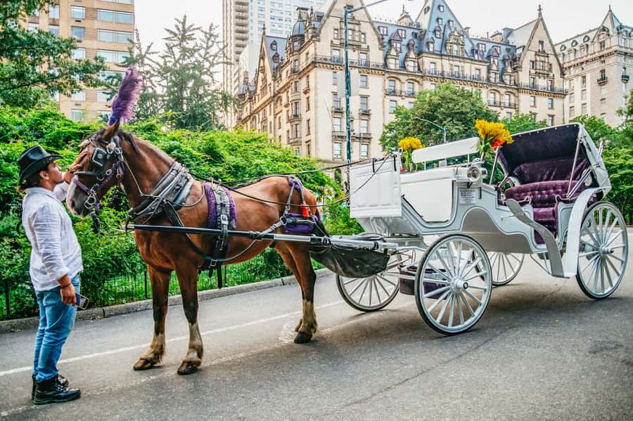 NYC: Guided Central Park Horse Carriage Ride - Meeting your guide and settling into the carriage