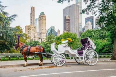 NYC: Guided Central Park Horse Carriage Ride - Price for a group of up to 4: where the value comes from