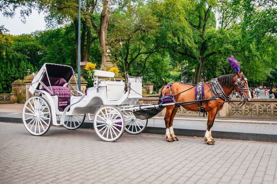 NYC: Guided Central Park Horse Carriage Ride - The classic sights: Wollman Rink, Boat Pond, and Strawberry Fields area views