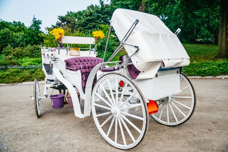 NYC: Guided Central Park Horse Carriage Ride - Bethesda Fountain and Cherry Hill: the photo stops that matter