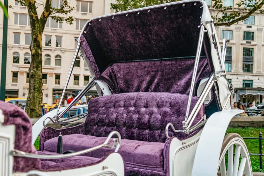 NYC: Guided Central Park Horse Carriage Ride - Central Park texture: Literary Mall, Carousel, Chess & Checker House, and The Dairy