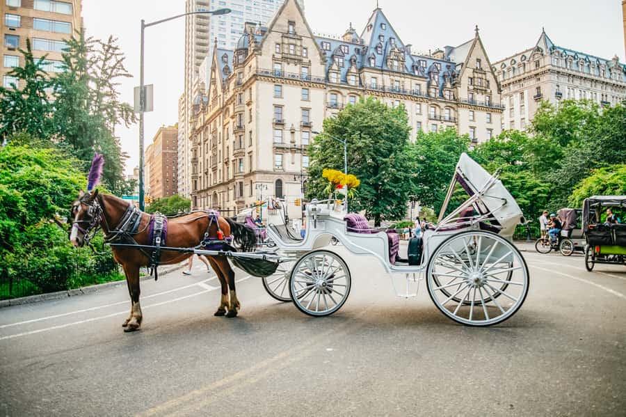 NYC: Guided Central Park Horse Carriage Ride - Rain, night, and the calm factor: how the ride holds up
