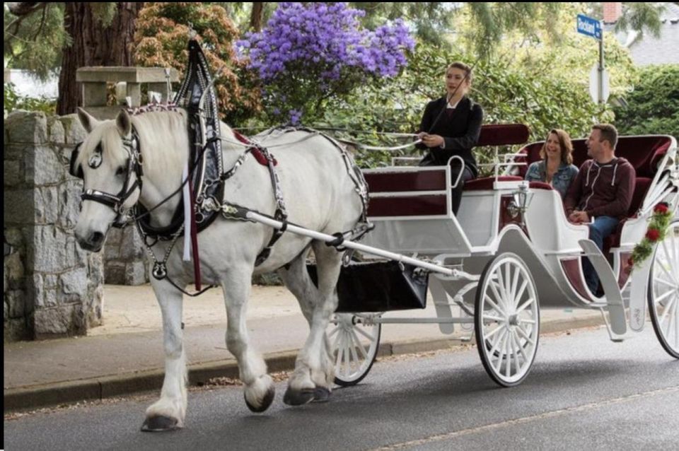 NYC: Private Central Park Horse Carriage Ride with Guide - Central Park route: carousel moments, Tavern on the Green, and Bethesda Terrace