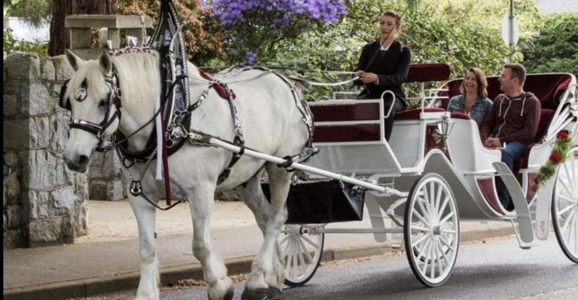 NYC: Private Central Park Horse Carriage Ride with Guide - Practical tips for getting the most from your 40–60 minutes