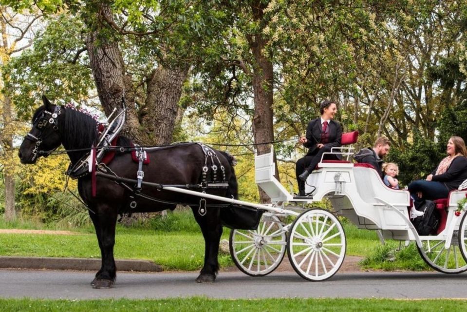NYC: Private Central Park Horse Carriage Ride with Guide - City ride option: Fifth Avenue lights, Saks, and St. Patrick’s Cathedral