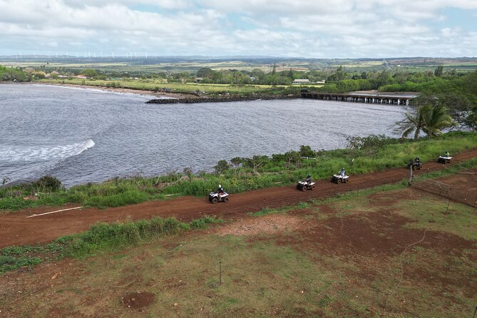 Oahu Beachfront ATV Adventure and Farm Tour - Animals, soil care, and the Korean Natural Pig Farming angle