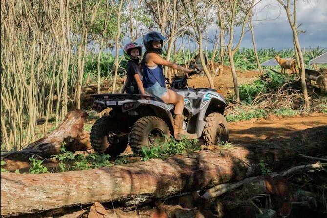Oahu Beachfront ATV Adventure and Farm Tour - Who this tour fits best