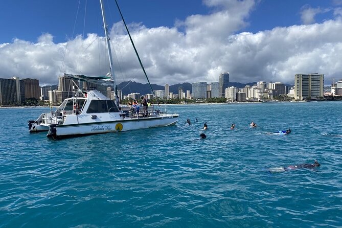 Oahu Catamaran Snorkel Tour: See Turtles 100% Guaranteed - What This Turtle-Guaranteed Catamaran Actually Gets You