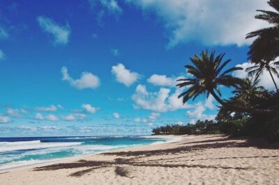 Oahu Circle Island Tour with Turtle Snorkeling— Small-Groups - Diamond Head lookout and Halona Blowhole: quick stops, big payoff