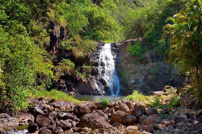 Oahu Deluxe Grand Circle Island Tour - A smart way to get your bearings on Oahu