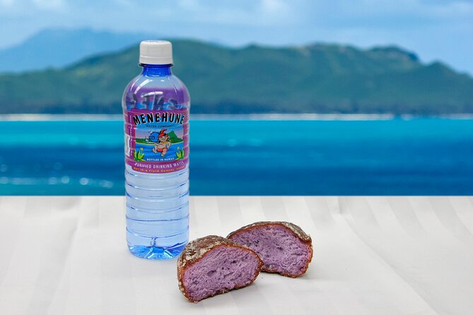 Oahu Grand Circle Island and Haleiwa Tour: 9-Hr Deluxe Experience - Byodo-In Temple and Tropical Farms: Culture Break, Then Tasting Time