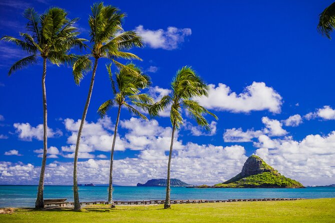 Oahu Grand Circle Island and Haleiwa Tour: 9-Hr Deluxe Experience - Dole Plantation Finish: Pineapple Stories and DoleWhip Moment