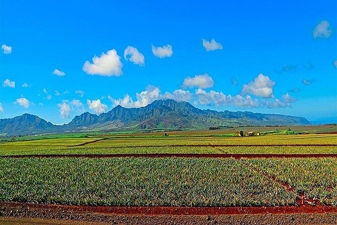 Oahu Grand Circle Island Experience from Waikiki - Diamond Head Viewpoint and Halona Blowhole: Real Sights, Short Stops