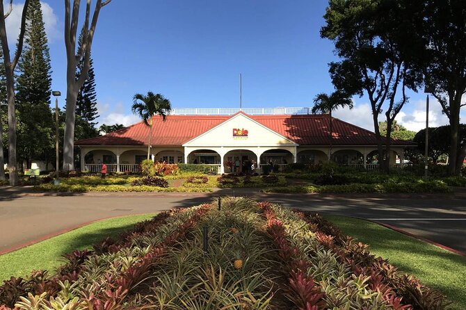 Oahu: Grand Tour Around Island 16 Locations plus Snorkeling - Why a 7:00am Start Makes This Tour Work