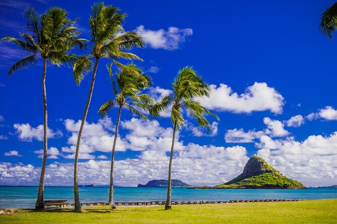 Oahu: Grand Tour Around Island 16 Locations plus Snorkeling - Macadamias at North Shore and Turtle Beach at Puaʻena Point