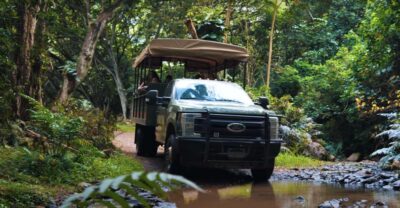 Oahu: Kualoa Open Air Jungle Expedition Tour - Hakipuu rainforest in an open-air vehicle: what the ride is really like