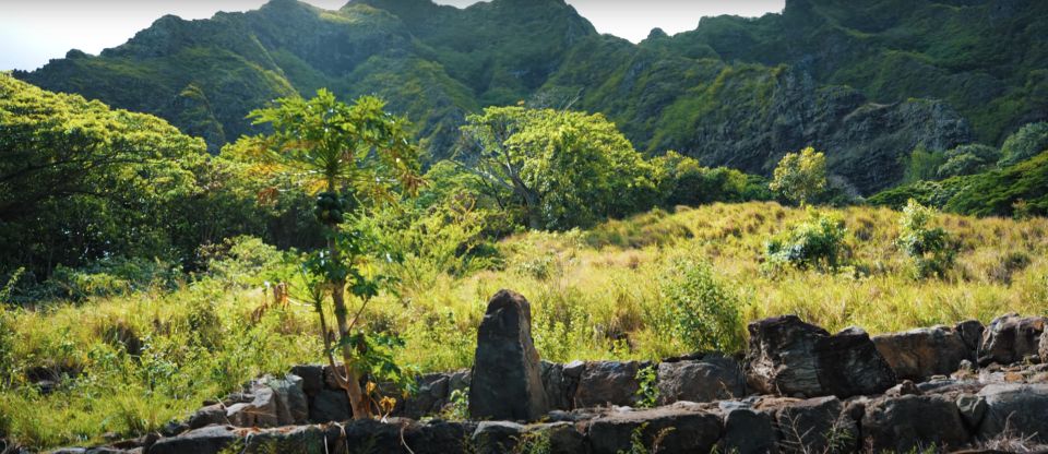 Oahu: Kualoa Open Air Jungle Expedition Tour - Price and value: $63 for 90 minutes of jungle + film context