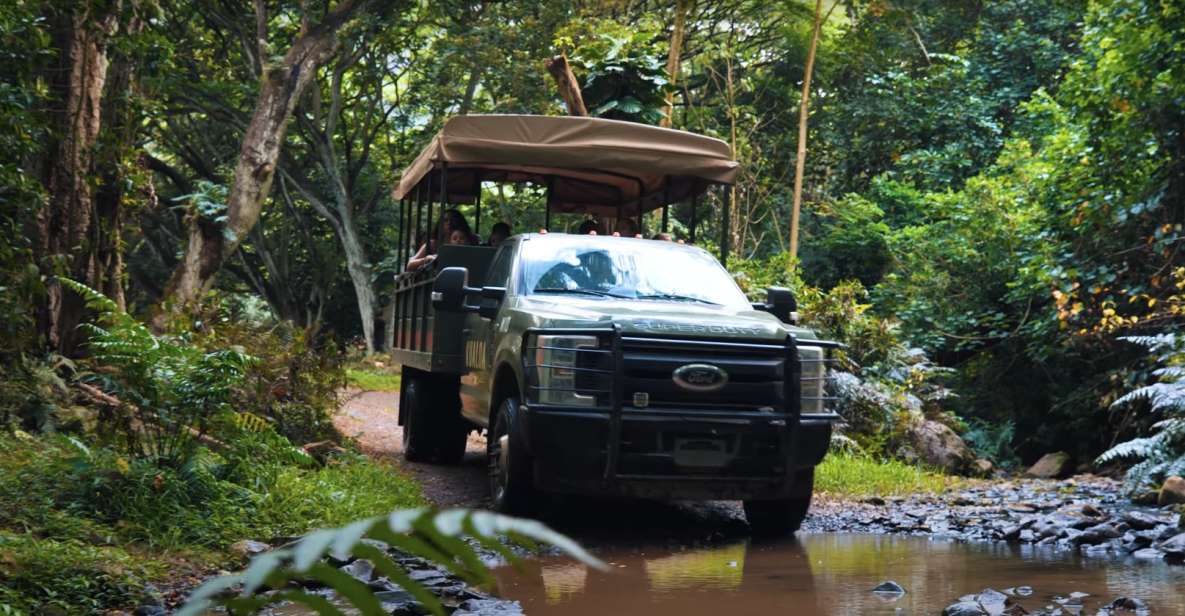 Oahu: Kualoa Open Air Jungle Expedition Tour - Hakipuu rainforest in an open-air vehicle: what the ride is really like