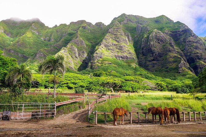 Oahu: Kualoa Ranch Movie Sites and Ranch Tour - Key moments you’ll care about