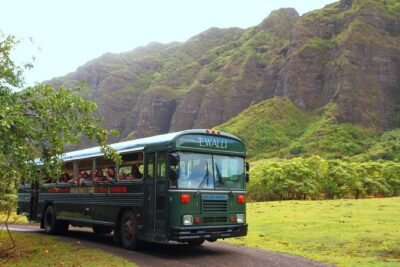 Oahu: Kualoa Ranch Movie Sites and Ranch Tour - Getting There: Check-In Can Make or Break Your Day