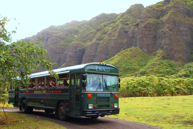 Oahu: Kualoa Ranch Movie Sites and Ranch Tour - Getting There: Check-In Can Make or Break Your Day