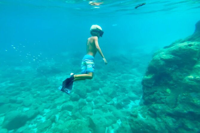 Oahu North Shore Experience: Activities, Waterfall & Free Time - Waimea Botanical Gardens and Falls Park: a waterfall swim, if the timing cooperates
