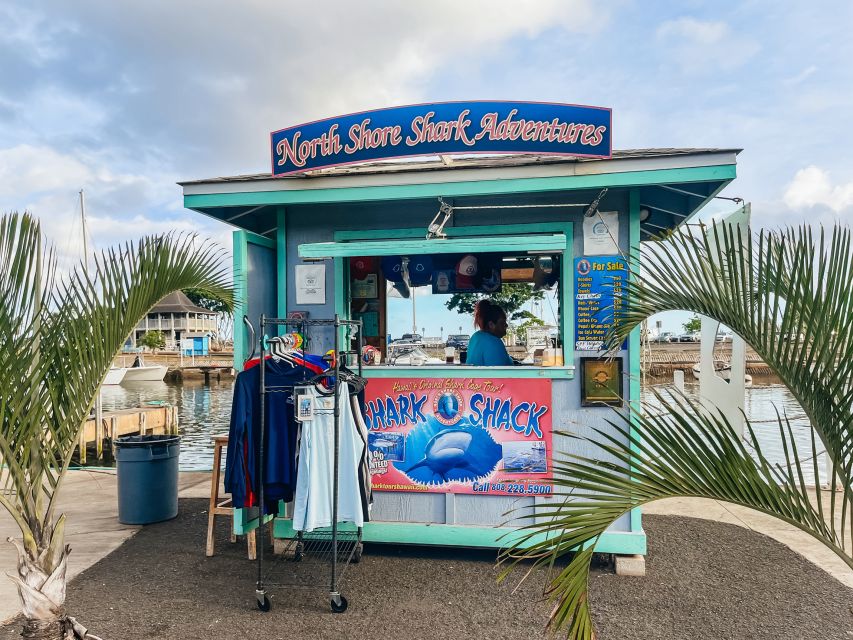 Oahu: Shark Cage Dive on the North Shore - The 20 minutes you’ll remember: what it feels like to be close