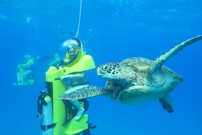 Oahu: Submarine Scooter Adventure - Getting to Bob’s Hawaii Adventure without stress