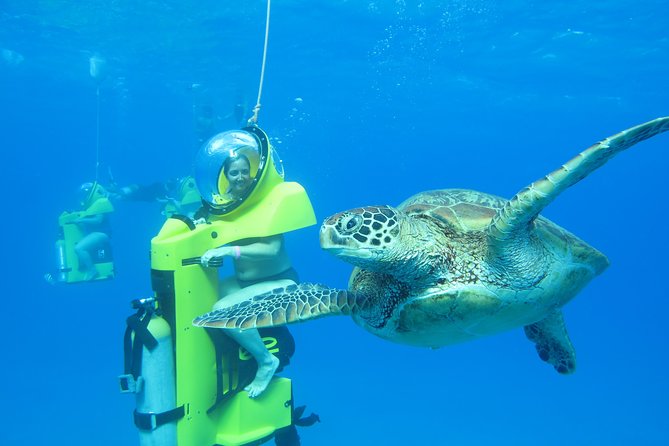 Oahu: Submarine Scooter Adventure - Getting to Bob’s Hawaii Adventure without stress