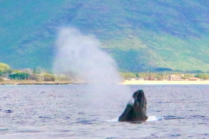 Oahu: Swim with Dolphins on the West Coast - Lunch Onboard: The Value of Eating at Sea
