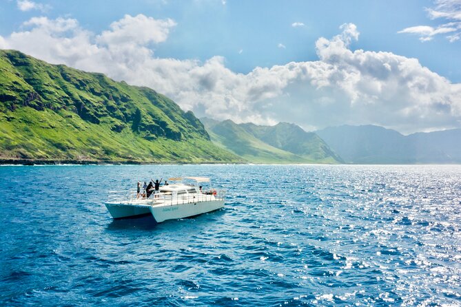 Oahu: Swim with Dolphins on the West Coast - Getting There: Pickup Times, the Early Wake-Up, and Waianae Reality
