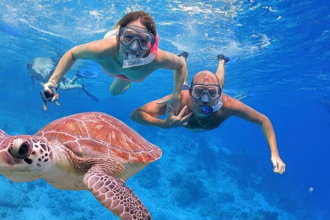Oahu Ultimate Circle Island Tour Full Day Experience - Waikiki Pickup and the Morning Pace (7:30 AM Start)