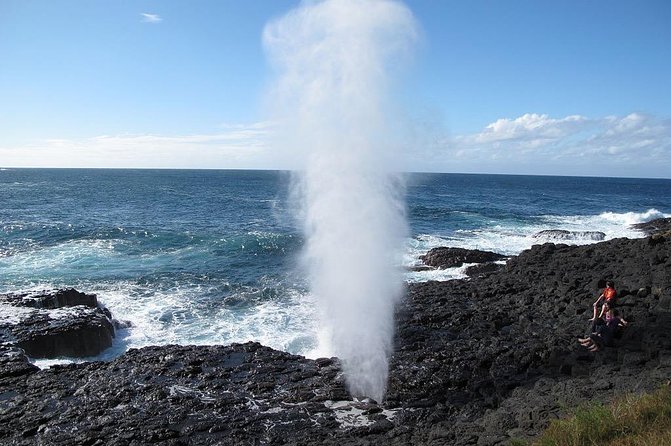 Oahu Ultimate Circle Island Tour Full Day Experience - Macadamia Nut Farm Outlet and Kualoa: Coffee Samples and Movie-Set Terrain