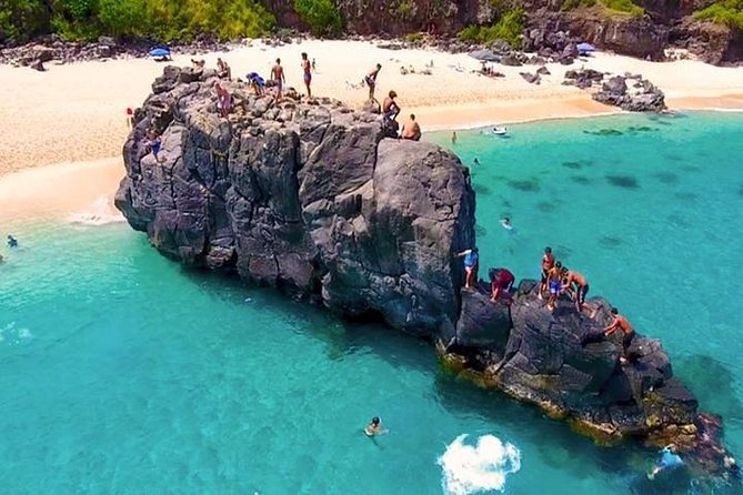 Oahu Ultimate Circle Island Tour Full Day Experience - The Turtle Snorkeling Beach: Your Best One-Hour Stretch