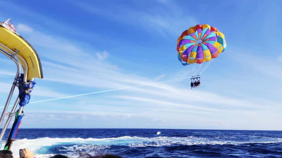 Oahu: Waikiki Parasailing - Marine sightings and the water-dip moment when conditions allow