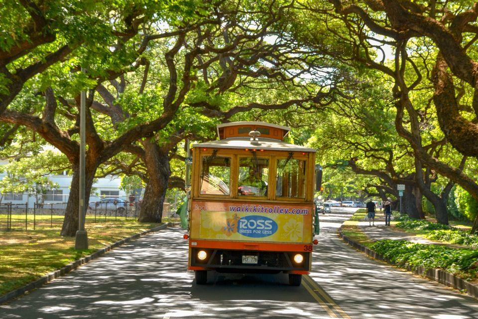 Oahu: Waikiki Trolley Hop-on Hop-off All-Line Pass - Price value: is $62 worth it versus rideshares or car rental