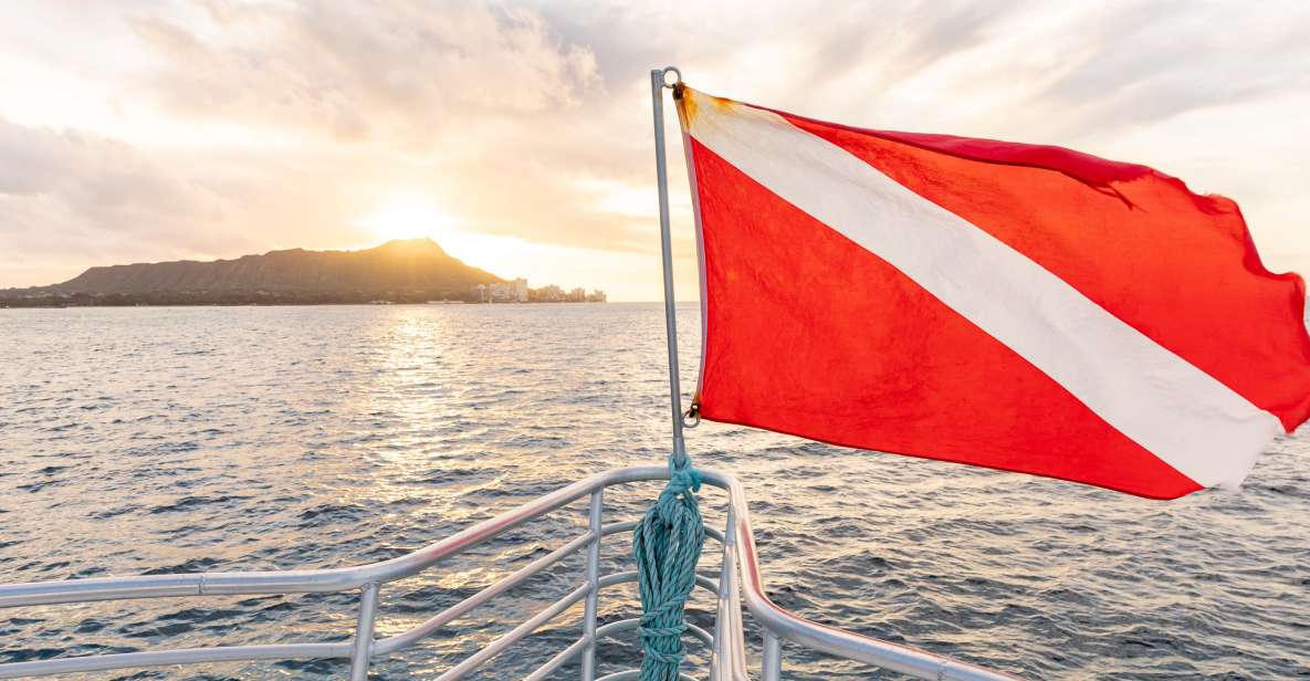 Oahu: Waikiki Turtle Canyons Cruise and Snorkel Excursion - Key highlights I’d center in your decision