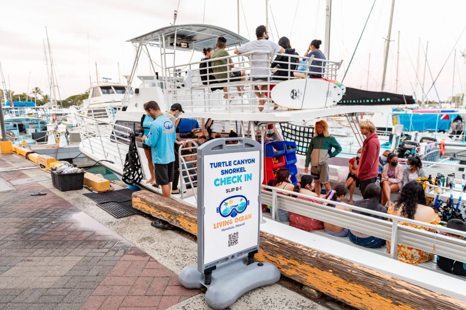 Oahu: Waikiki Turtle Canyons Cruise and Snorkel Excursion - Who this tour suits best (and who should skip it)
