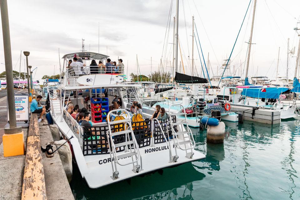 Oahu: Waikiki Turtle Canyons Cruise and Snorkel Excursion - Price and value: is $89 really fair?