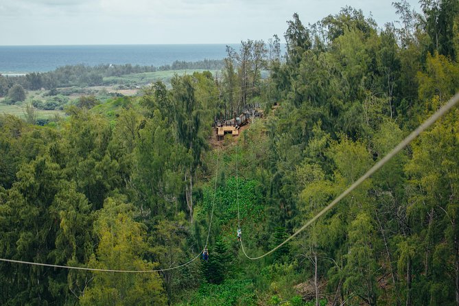 Oahu's North Shore: 8-Line Zipline Adventure - Who Should Book This Zipline and Who Should Skip It