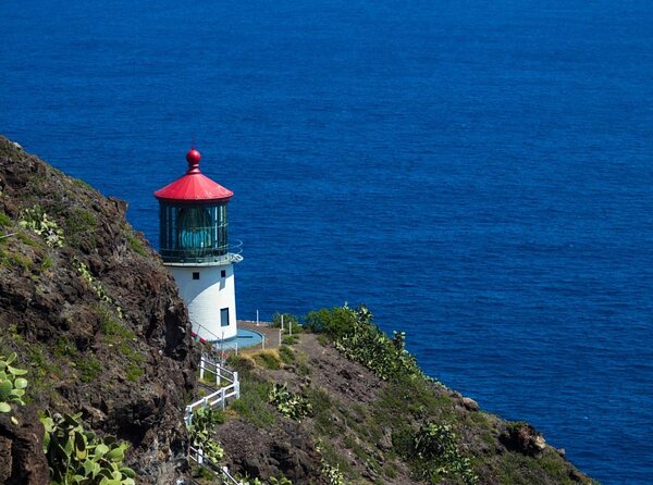 Oahu's Stunning Views: Half-Day Scenic Tour with 7 Lookouts - Key Things I’d Focus On Before You Go