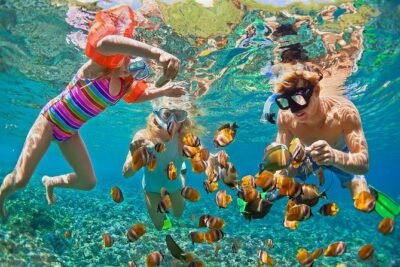 Oahu's Ultimate Tour: Dole, Turtle Snorkel, Pali Lookout & More - Morning Rollout from Waikiki: Diamond Head and the scenic warm-up