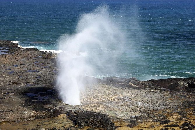 Oahu's Ultimate Tour: Dole, Turtle Snorkel, Pali Lookout & More - How the day really feels: pacing, bus comfort, and guide energy
