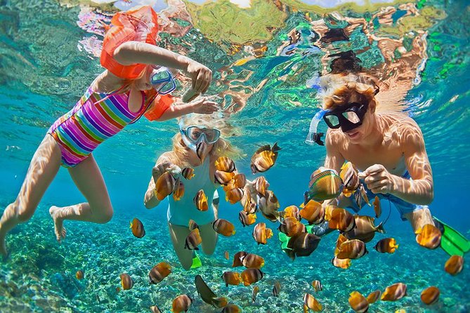 Oahu's Ultimate Tour: Dole, Turtle Snorkel, Pali Lookout & More - Morning Rollout from Waikiki: Diamond Head and the scenic warm-up
