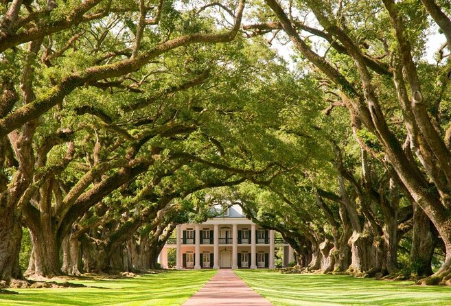 Oak Alley Plantation and Large Airboat Swamp Tour from New Orleans - Key Things That Make This Combo Worth Your Day