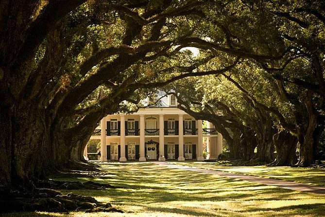 Oak Alley Plantation and Large Airboat Swamp Tour from New Orleans - Oak Alley Plantation: What the 300-Year Oaks Tell You First