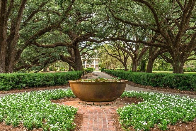 Oak Alley Plantation and Large Airboat Swamp Tour from New Orleans - The Large Airboat Ride: Stadium Views, High-Speed Fun, Real Wildlife