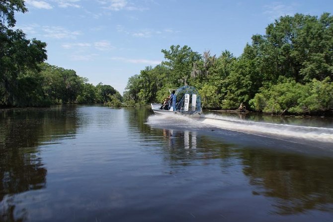 Oak Alley Plantation and Large Airboat Swamp Tour from New Orleans - Wildlife You Might See Beyond Alligators