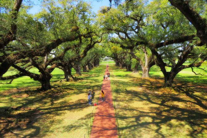 Oak Alley Plantation Tour with Transportation from New Orleans - The Road Stops: Lake Pontchartrain, the spillway, and sugar-plantation context